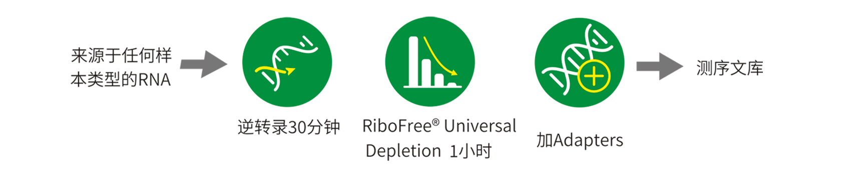 優(yōu)享價(jià)R3000R3003.png